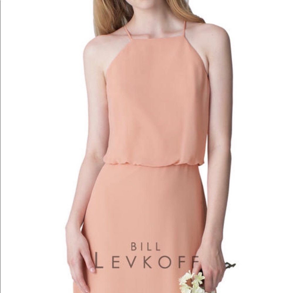 Bill Levkoff Blush floor length bridesmaid dress - Picture 2 of 4